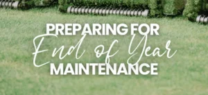 The Courage to Stay Calm When there is Chaos 