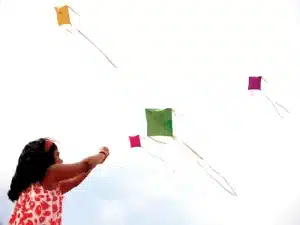 Greater Sprintfield kite flying