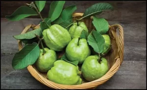 Secret Benefits Of Guava Leaves For Hair a