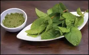 Secret Benefits Of Guava Leaves For Hair b