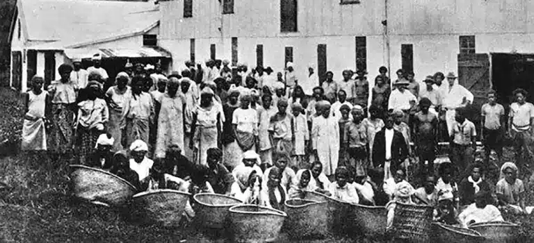 Girmit: The Untold Story of the Indentured Labourers