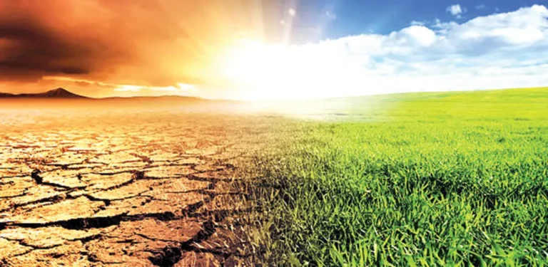 India’s Climate Minister Just Revealed the Real Plan for Green Living